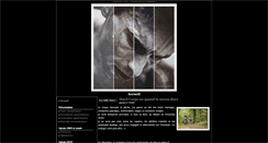 Desktop Screenshot of nicolas-hemet.onlinetri.com