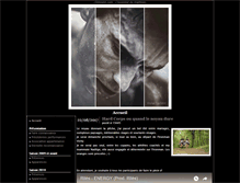 Tablet Screenshot of nicolas-hemet.onlinetri.com