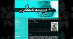 Desktop Screenshot of cedric-amand.onlinetri.com
